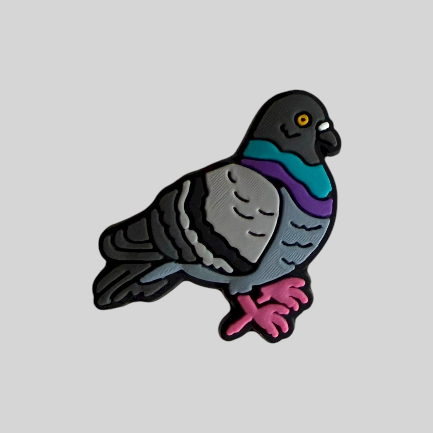 Pigeon | Birds