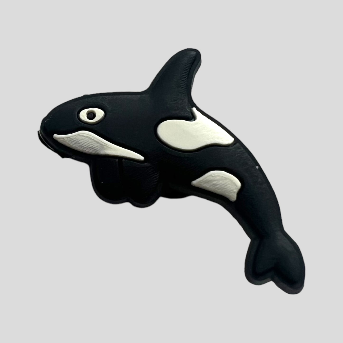Killer Whale | Sea Animals