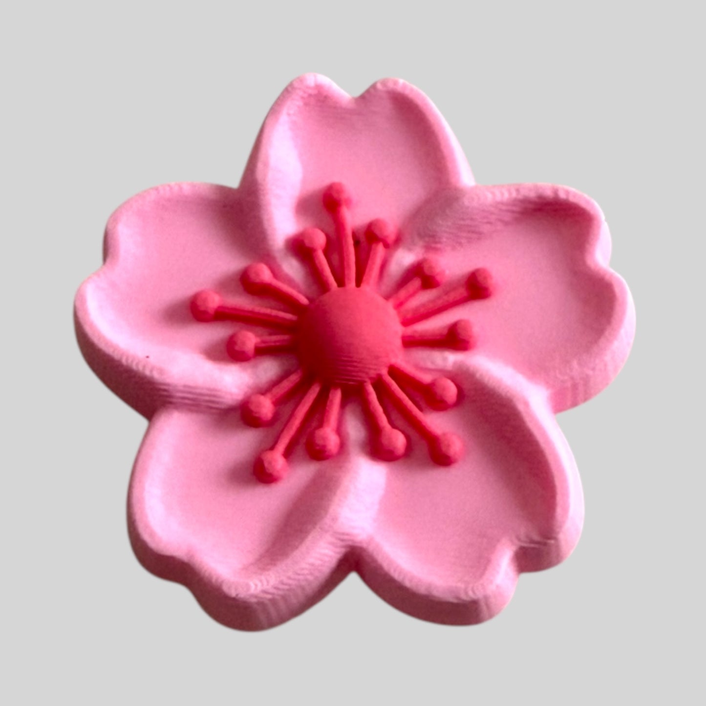 Pink Blossom | Flowers