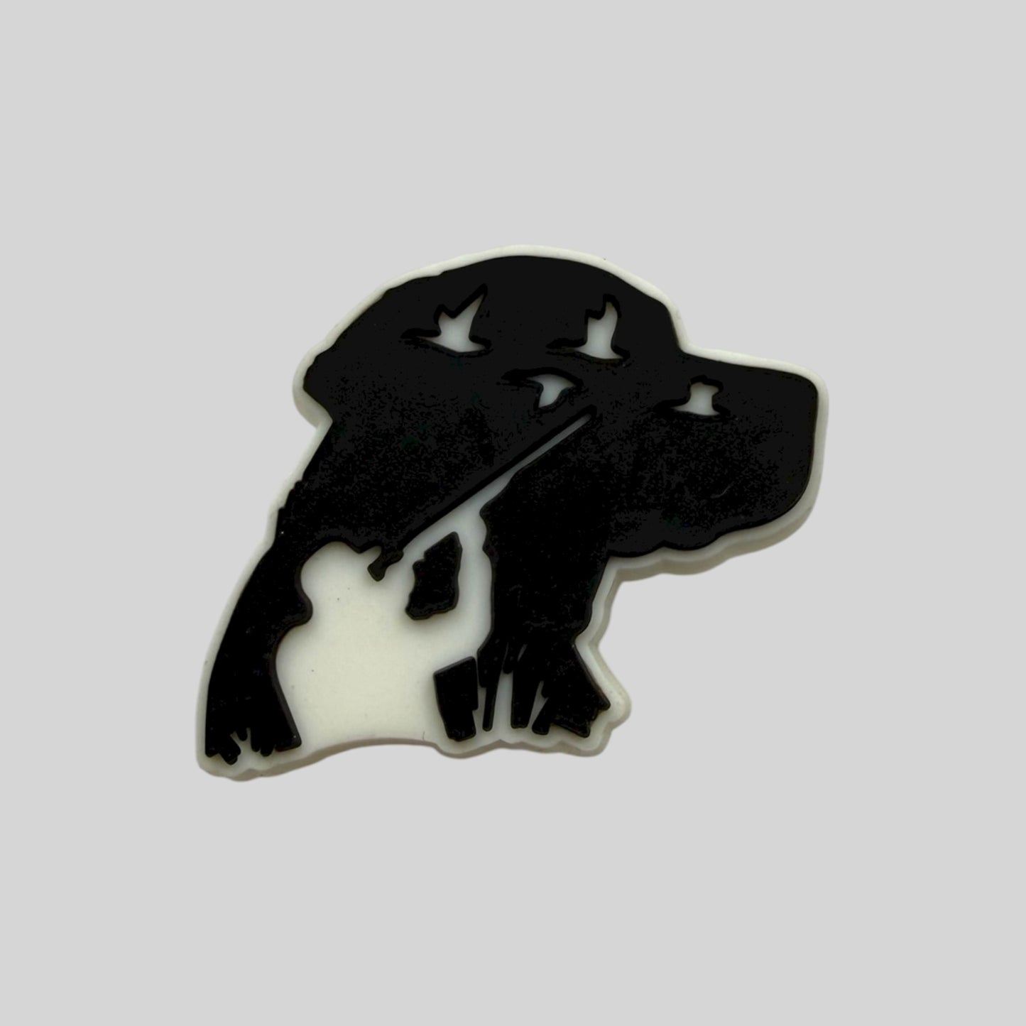 Dog & Hunter Silhouette | Hunting