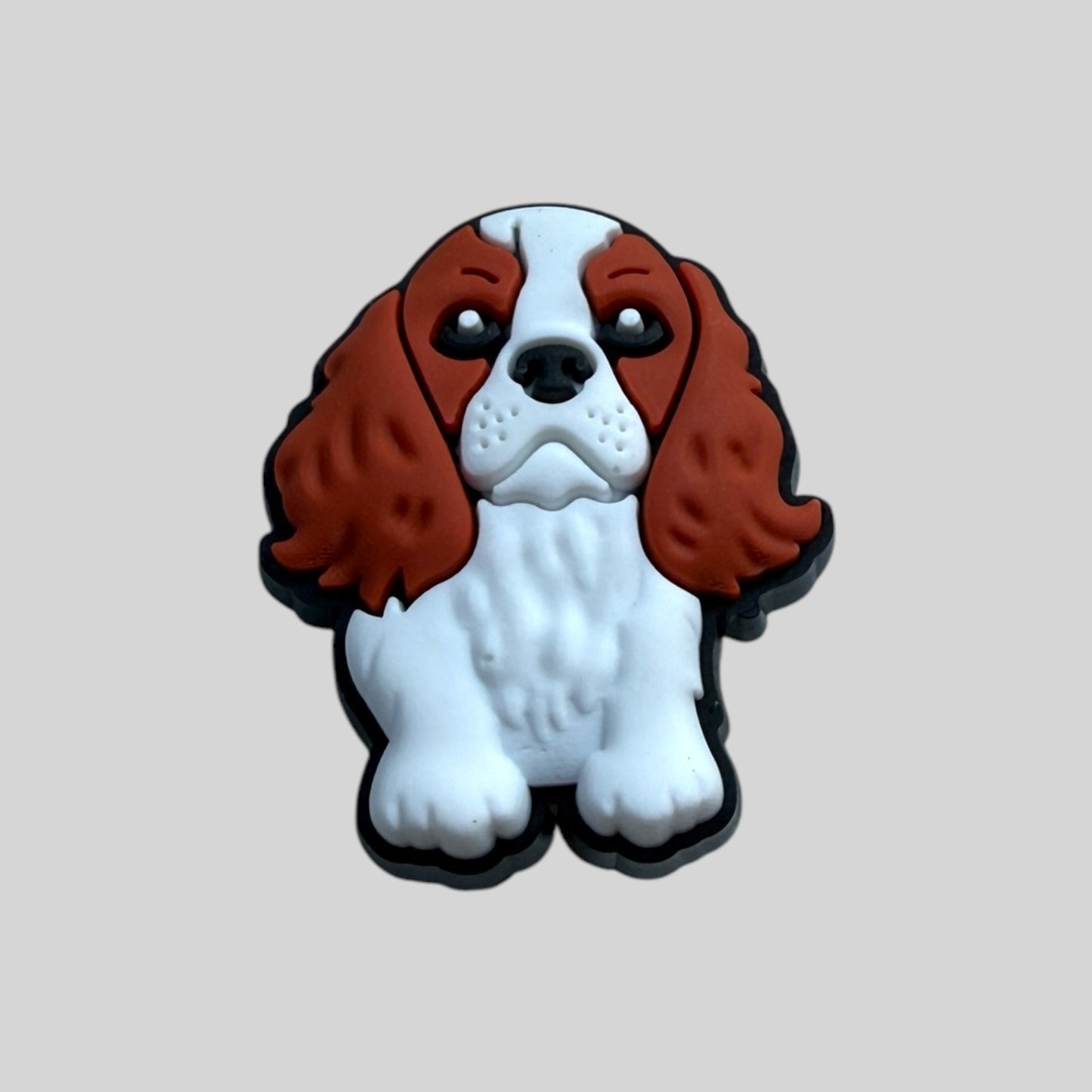 Cavalier Puppy | Dogs