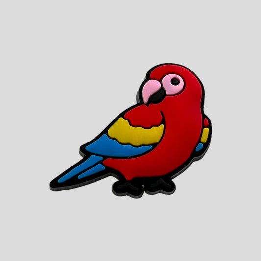 Parrot | Birds