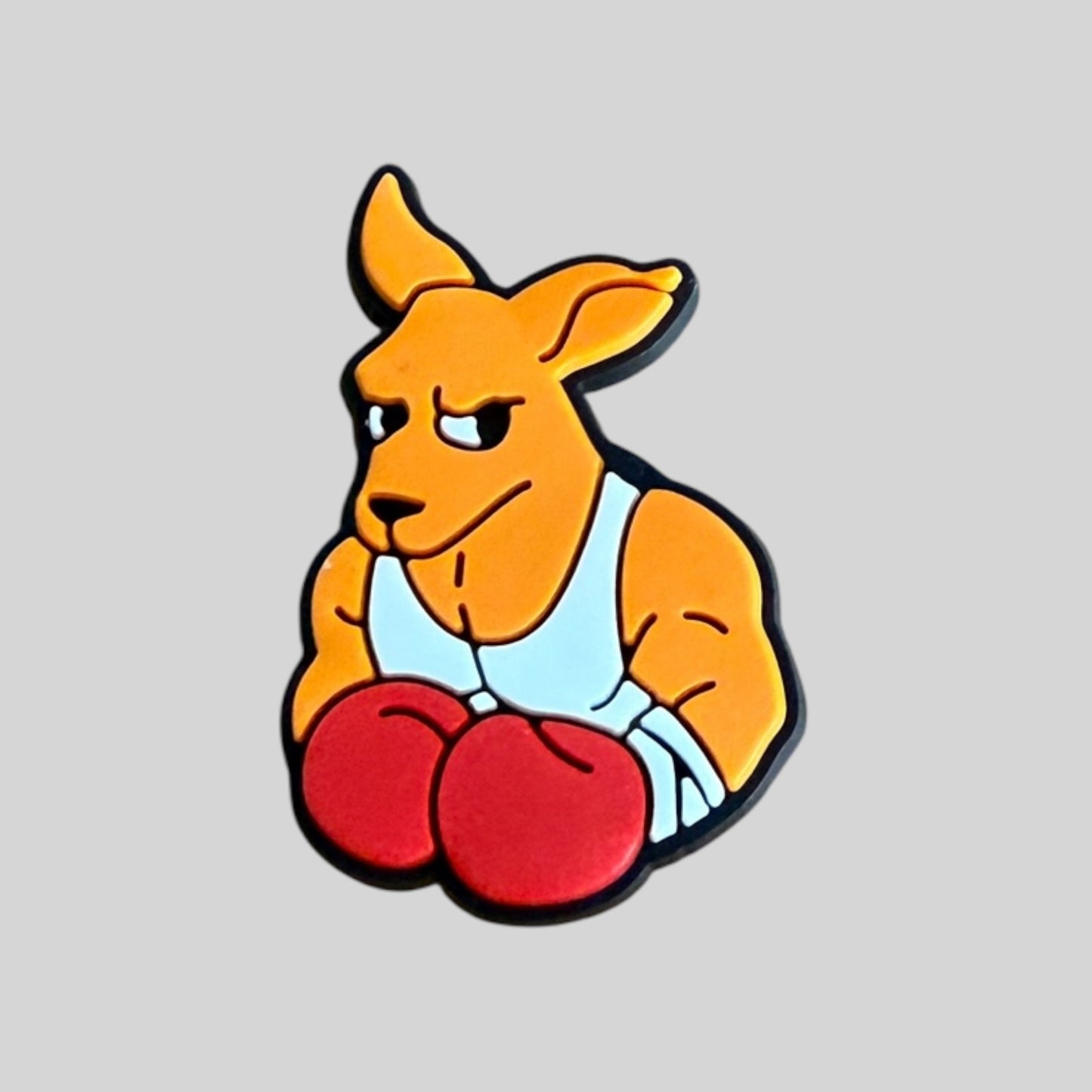 Boxing Kangaroo | Animals