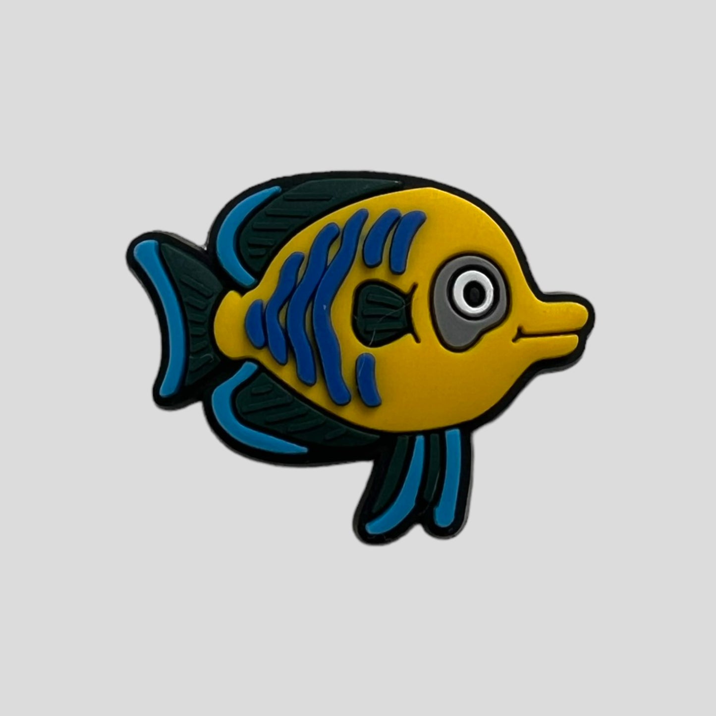 Pout Fish | Sea Animals