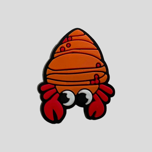 Hermit Crab | Sea Animals