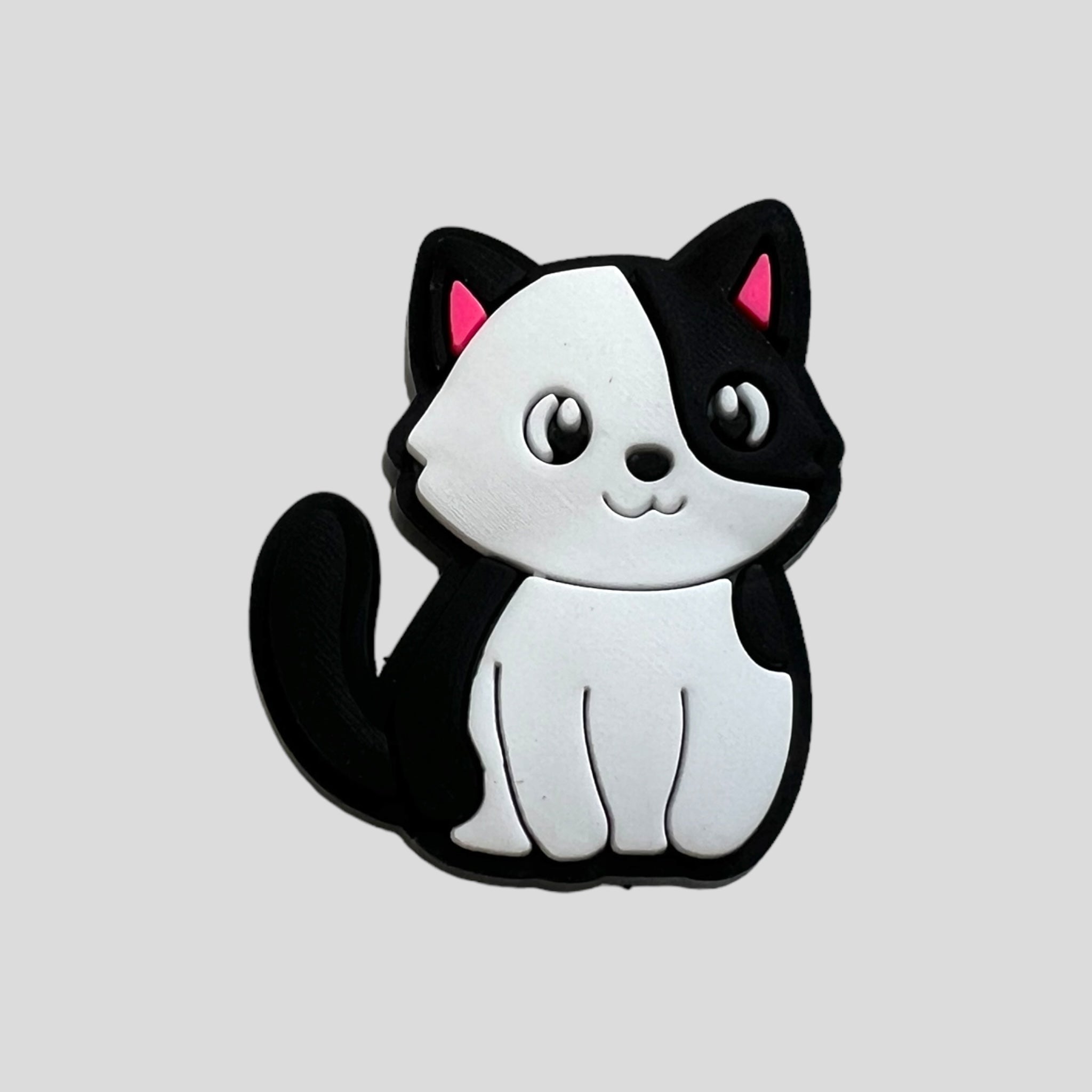 Black White Cat Cats