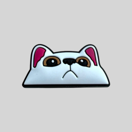 White Cat Face | Cats