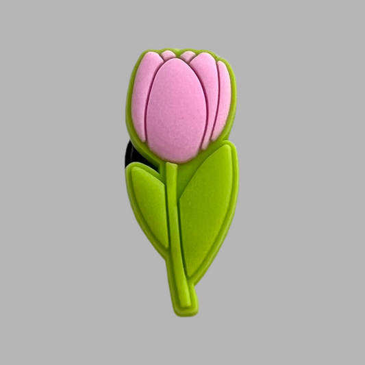 Tulip | Nature