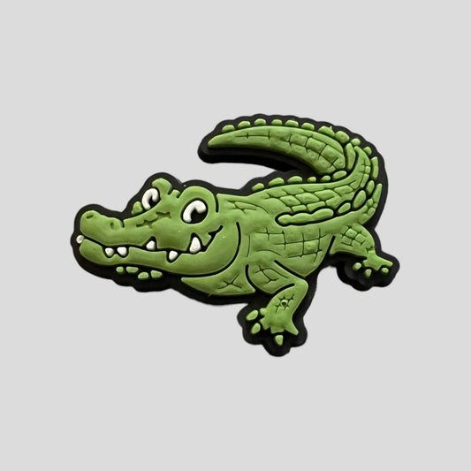 Crocodile | Australia