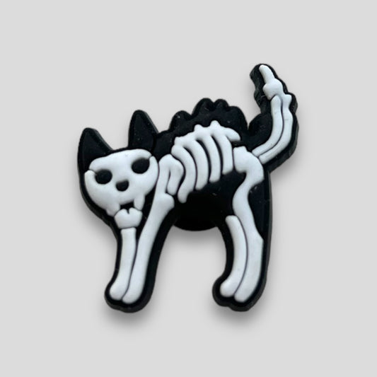 Jumping Cat | X-Ray Animals