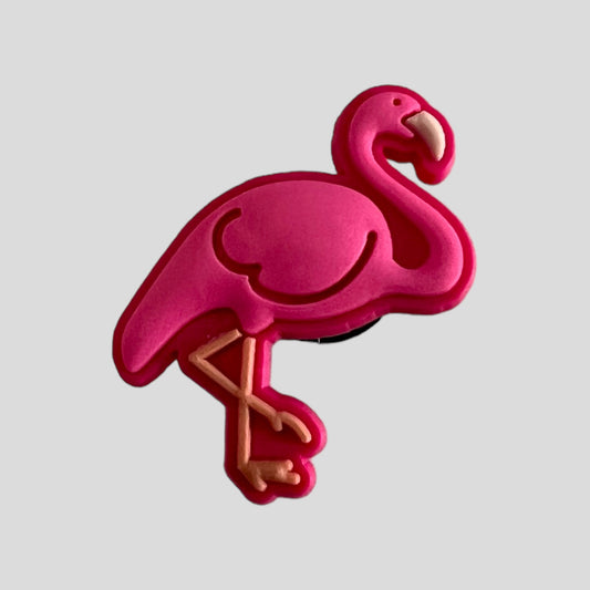 Flamingo | Animals