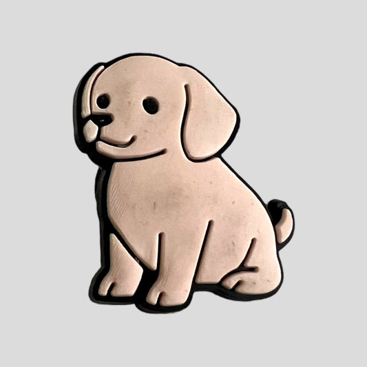 Labrador Puppy | Dogs