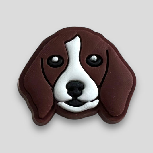 Beagle | Dogs