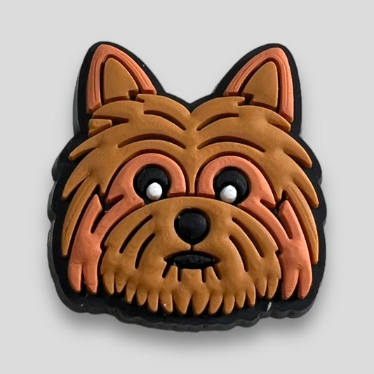 Yorkshire Terrier | Dogs