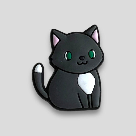 Black Cat | Cats