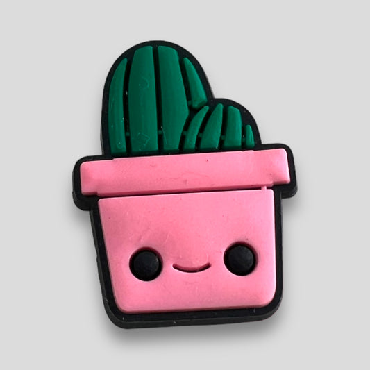 Cute Cactus | Nature