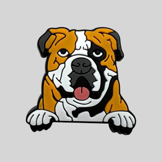 Bulldog | Dogs