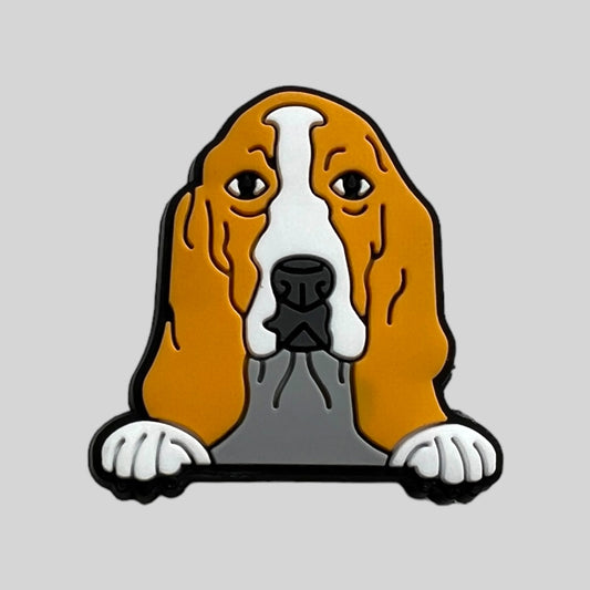 Basset Hound | Dogs