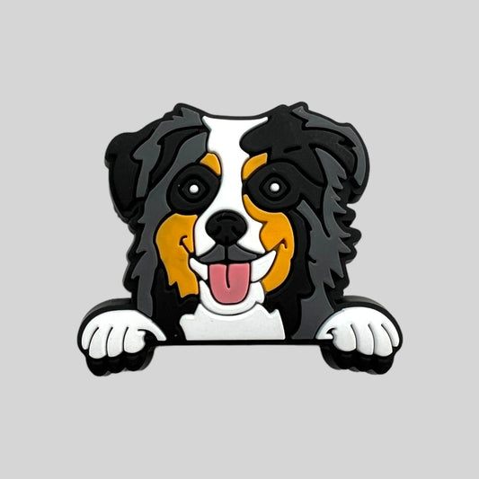 Australian Shepard | Dogs