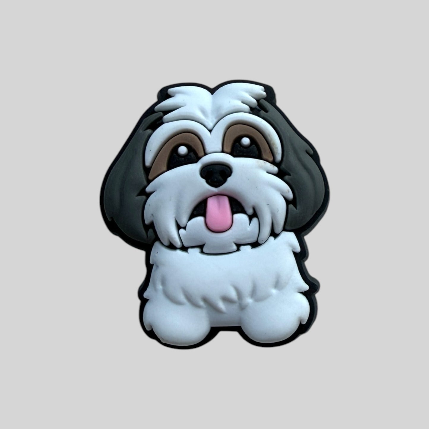 Shihtzu Puppy | Dogs