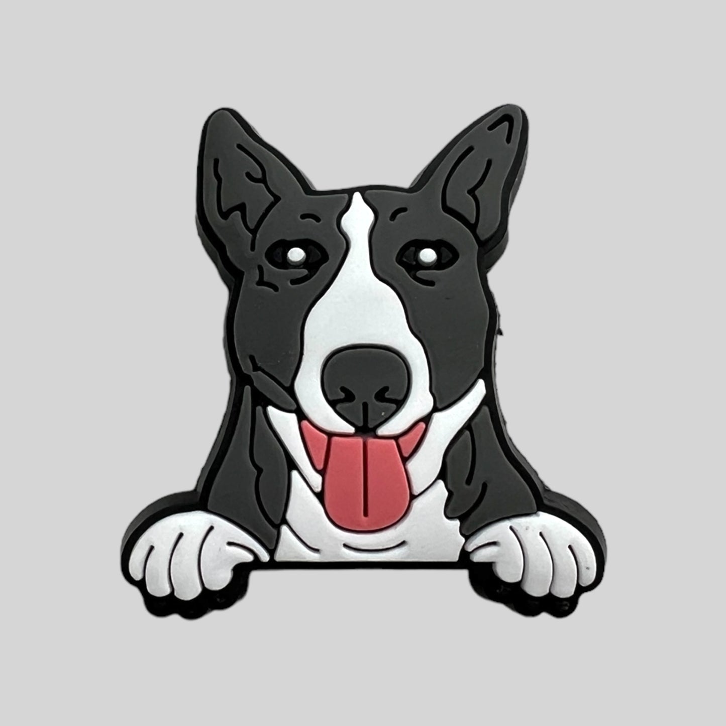 Bull Terrier | Dogs