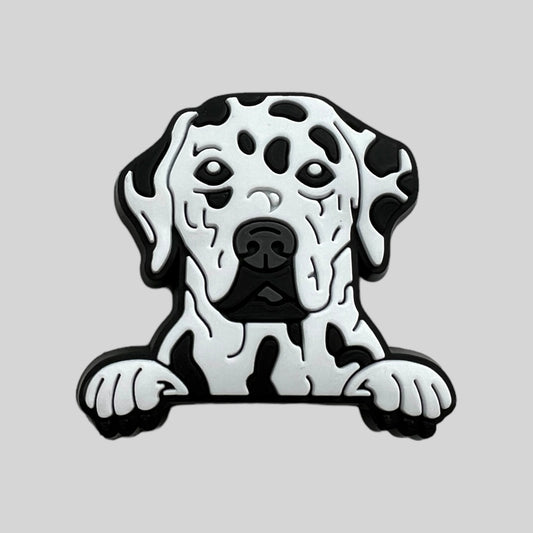 Dalmatian | Dogs