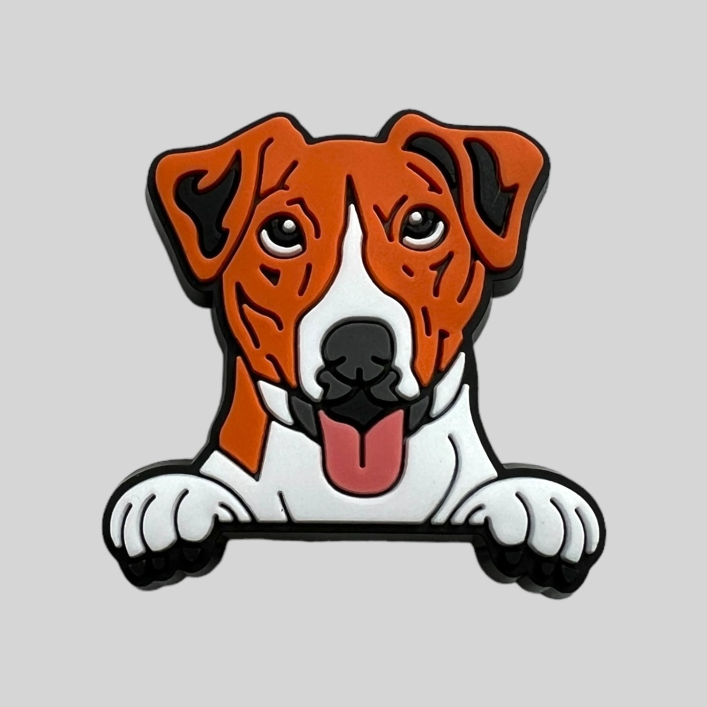 Jack Russell | Dogs