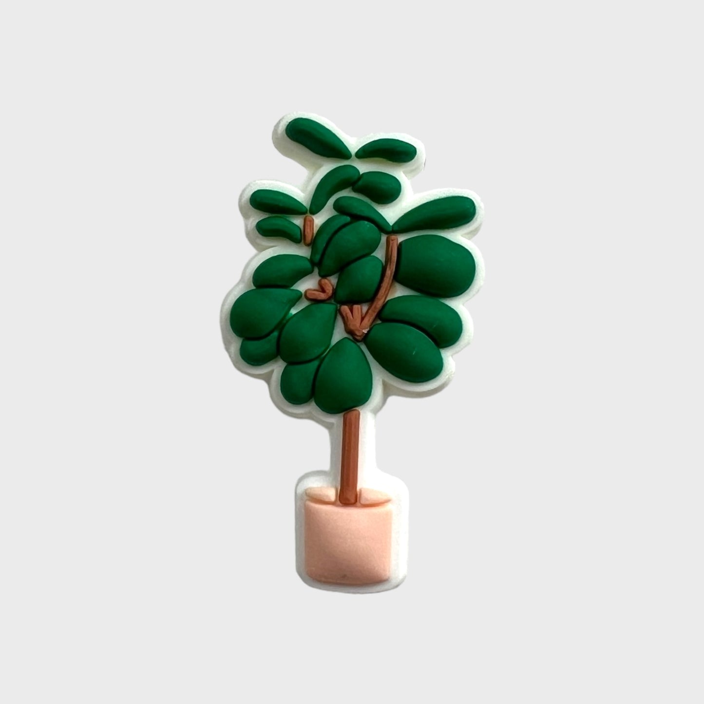 Tree Pot Plant | Nature