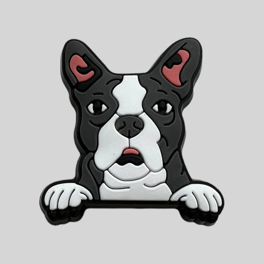 Boston Terrier | Dogs