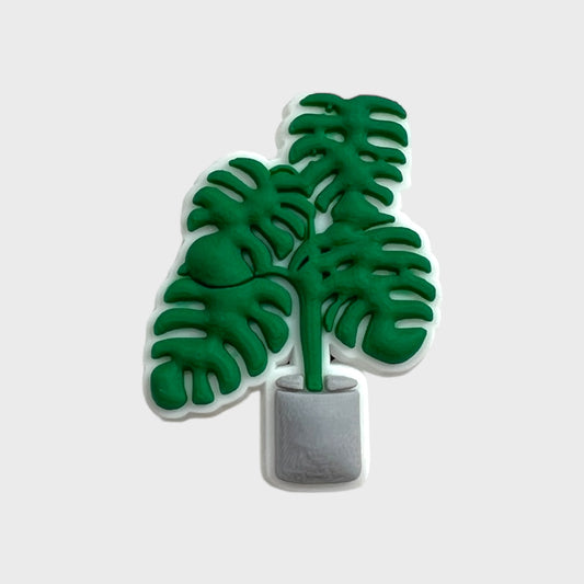 Fern Pot Plant | Nature