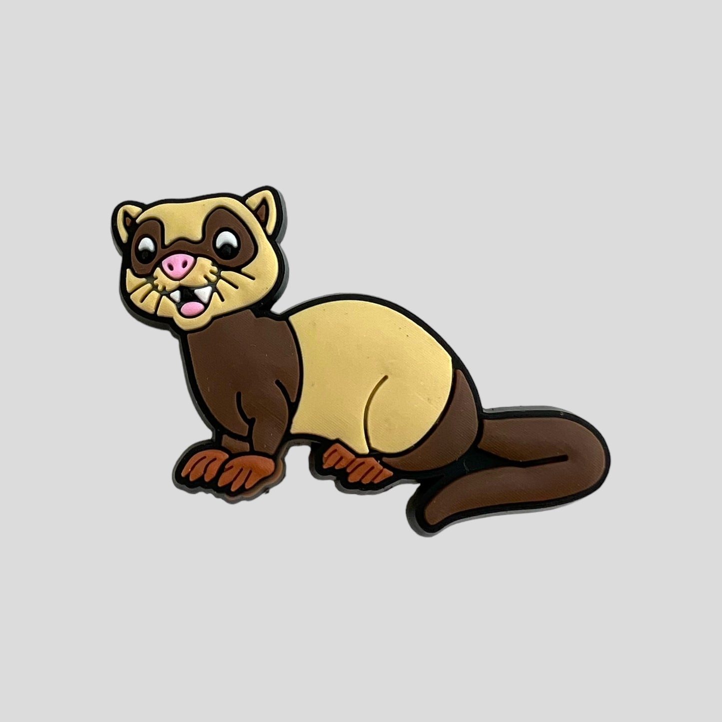 Ferret | Animals