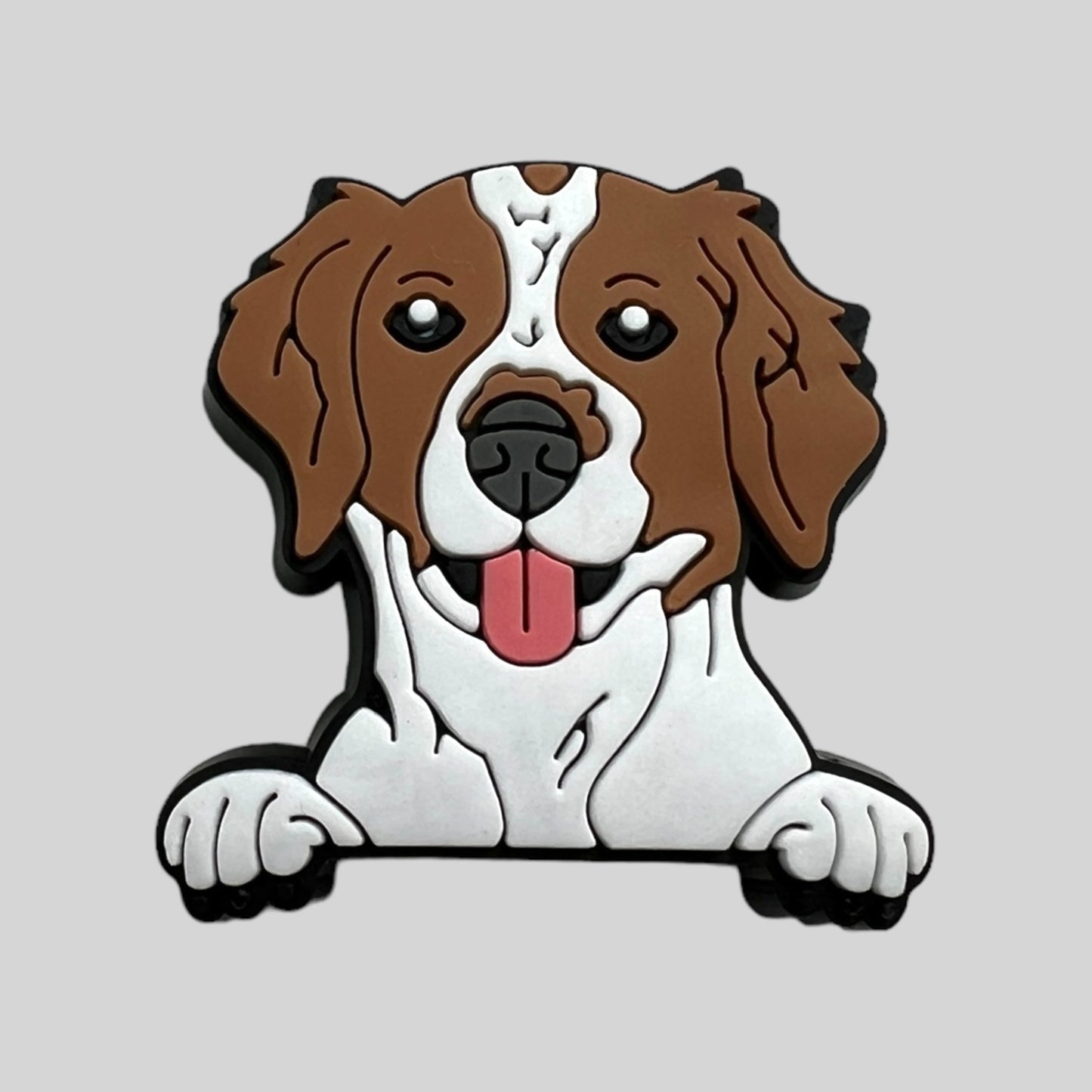 Brittany Spaniel | Dogs