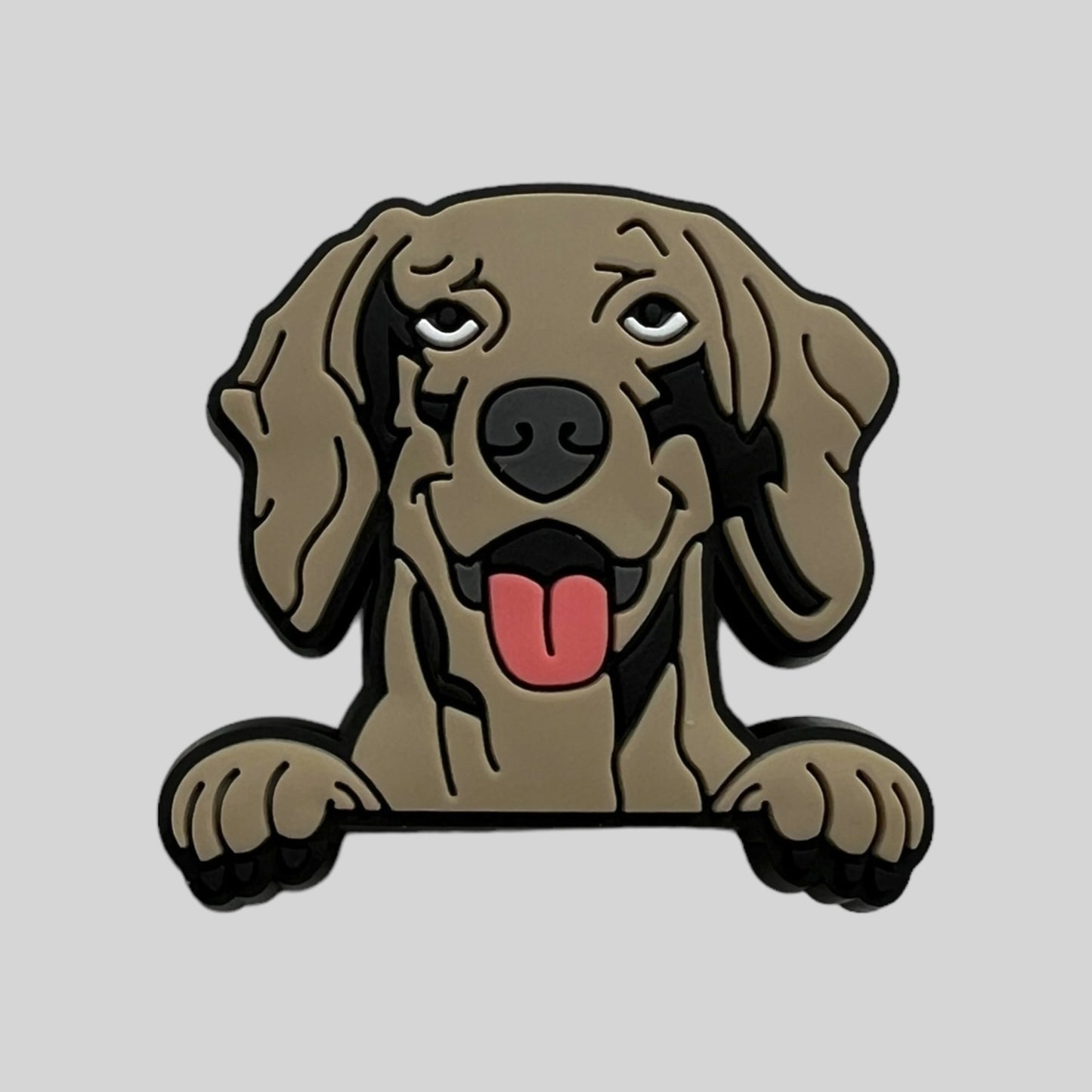 Weimaraner | Dogs