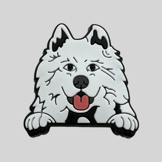 Samoyed | Dogs