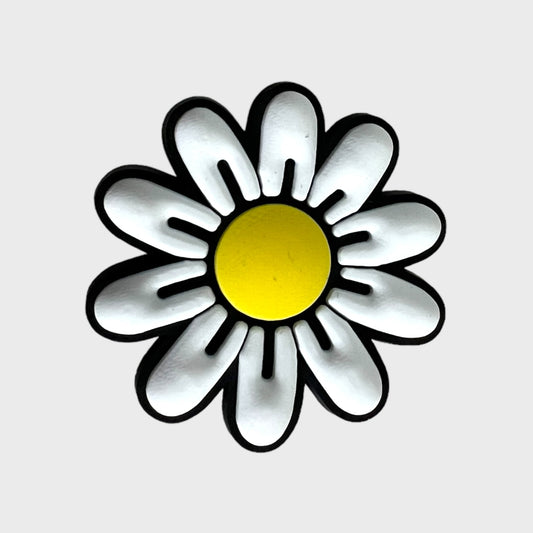 White Daisy | Flowers