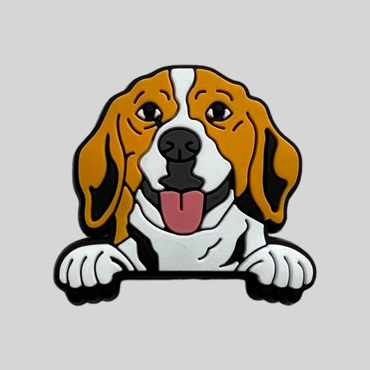 Beagle | Dogs