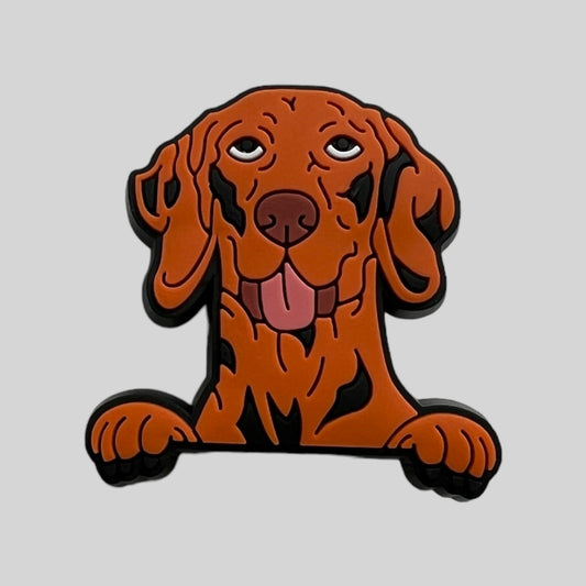 Vizsla | Dogs