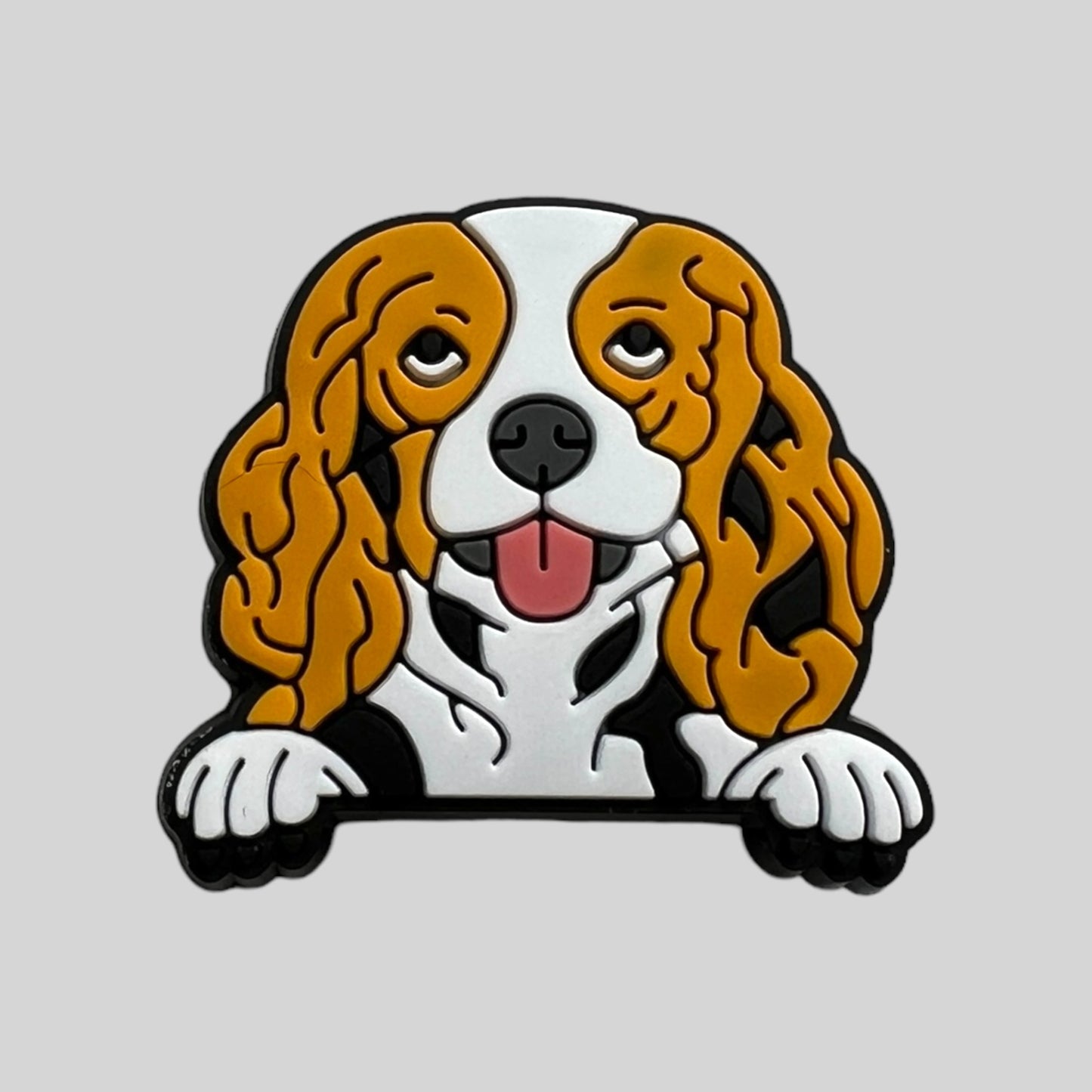 King Charles Cavalier | Dogs