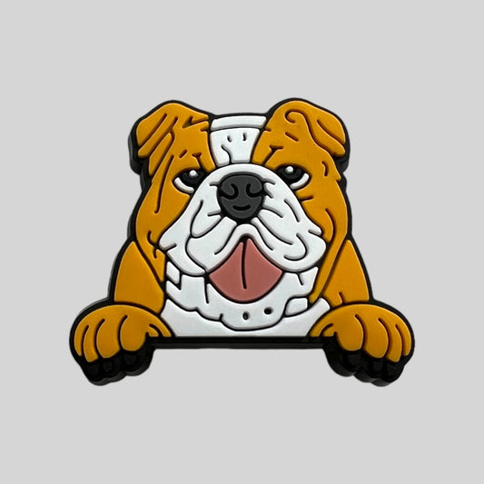 English Bulldog | Dogs