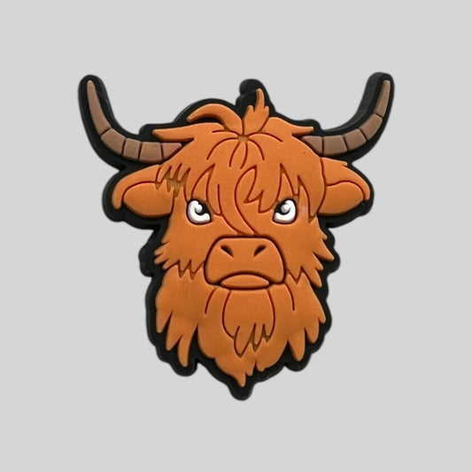 Grumpy Cow | Highland Cows