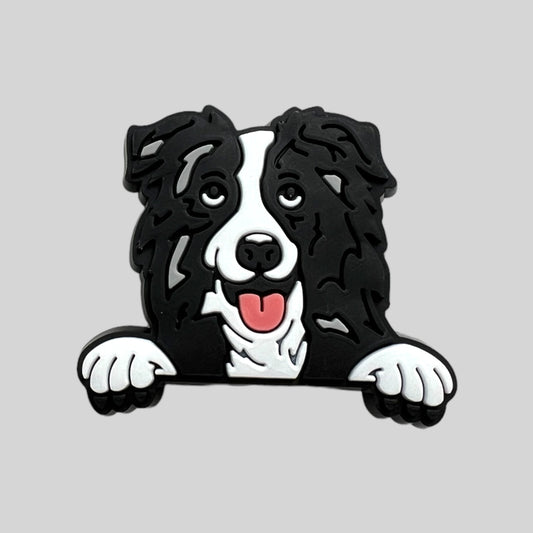 Border Collie | Dogs